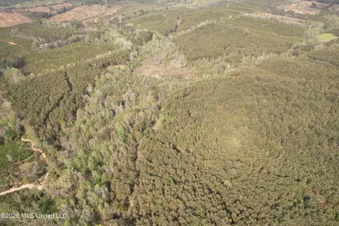 Seymour Road, Kilmichael, MS 39747 photo 59