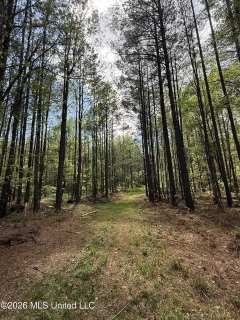 Seymour Road, Kilmichael, MS 39747 photo 91