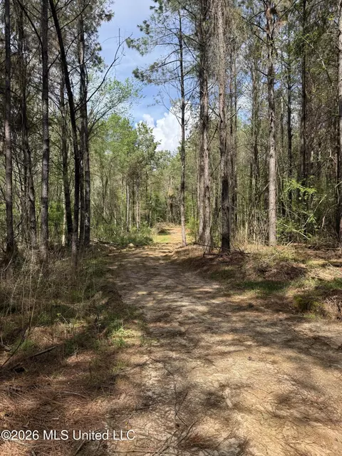 Seymour Road, Kilmichael, MS 39747 photo 22