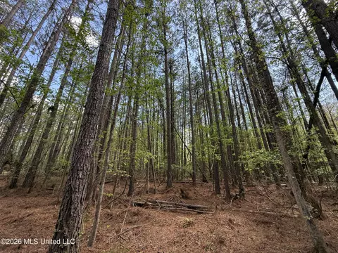 Seymour Road, Kilmichael, MS 39747 photo 90