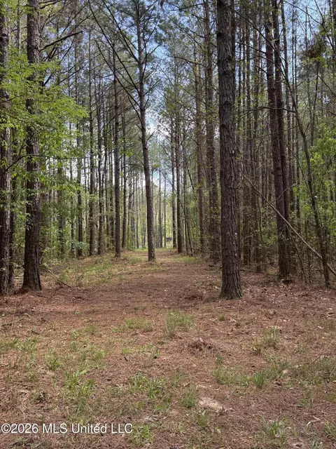 Seymour Road, Kilmichael, MS 39747 photo 13