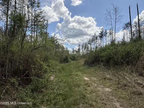 Seymour Road, Kilmichael, MS 39747 photo 20