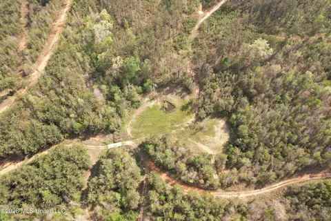 Seymour Road, Kilmichael, MS 39747 photo 54