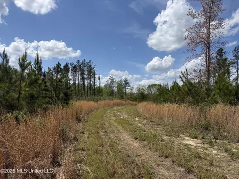 Seymour Road, Kilmichael, MS 39747 photo 66