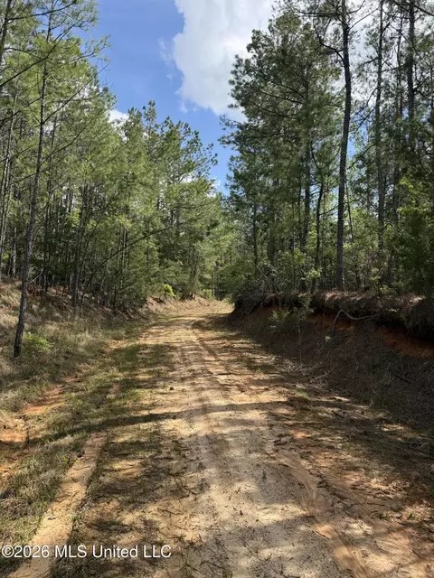 Seymour Road, Kilmichael, MS 39747 photo 75