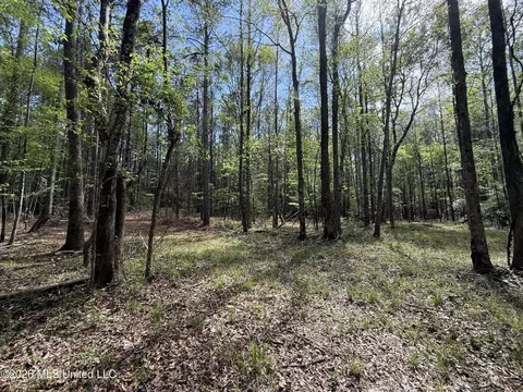 Seymour Road, Kilmichael, MS 39747 photo 11