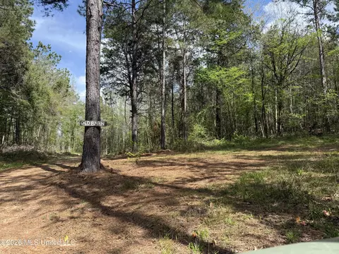 Seymour Road, Kilmichael, MS 39747 photo 86