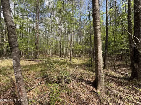 Seymour Road, Kilmichael, MS 39747 photo 95