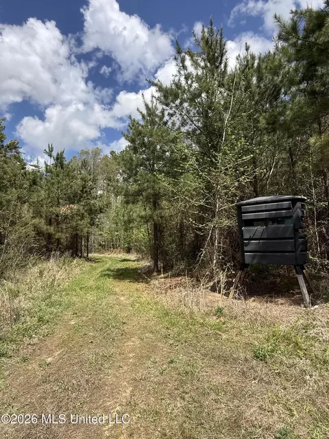 Seymour Road, Kilmichael, MS 39747 photo 62
