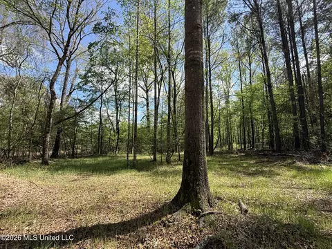 Seymour Road, Kilmichael, MS 39747 photo 100