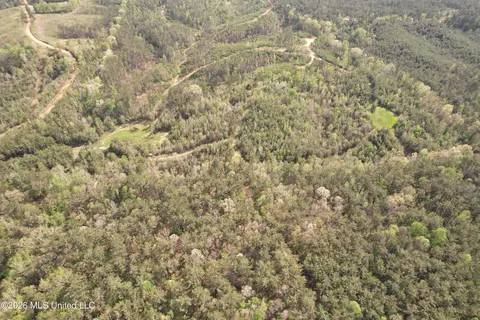 Seymour Road, Kilmichael, MS 39747 photo 47