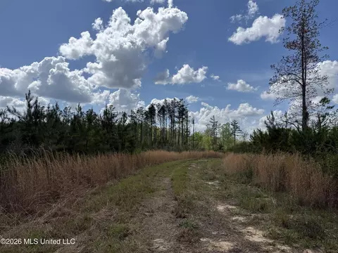 Seymour Road, Kilmichael, MS 39747 photo 83