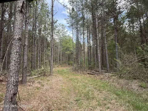 Seymour Road, Kilmichael, MS 39747 photo 88