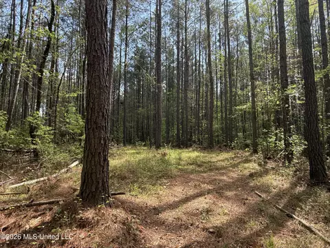 Seymour Road, Kilmichael, MS 39747 photo 12
