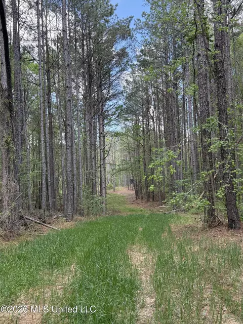 Seymour Road, Kilmichael, MS 39747 photo 19