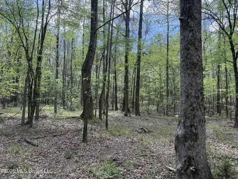 Seymour Road, Kilmichael, MS 39747 photo 94