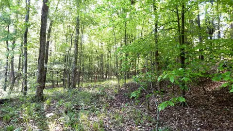 2743 Sweethome Rd, Grenada, MS 38901 photo 6