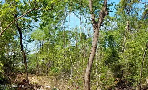 50 Nelia Rd, Grenada, MS 38901 photo 14