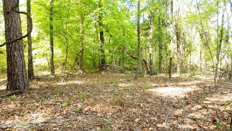 50 Nelia Rd, Grenada, MS 38901 photo 12