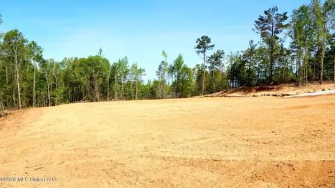 50 Nelia Rd, Grenada, MS 38901 photo 16