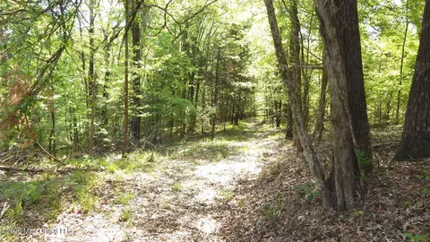 50 Nelia Rd, Grenada, MS 38901 photo 11