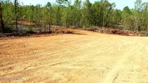 50 Nelia Rd, Grenada, MS 38901 photo 4