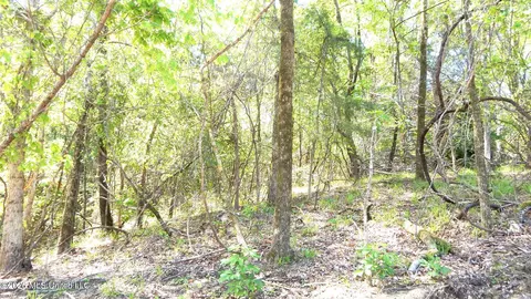 50 Nelia Rd, Grenada, MS 38901 photo 10