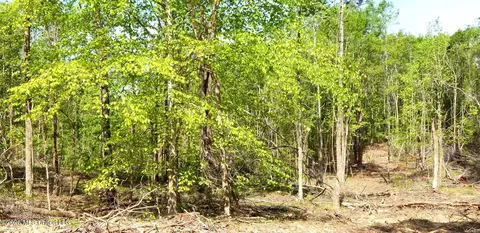 50 Nelia Rd, Grenada, MS 38901 photo 13