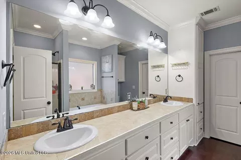 Bath - 229 Greenfield Ridge Dr, Brandon, MS 39042 photo 1 of 2