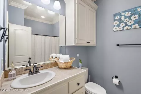 Other - 229 Greenfield Ridge Dr, Brandon, MS 39042 photo 9 of 11