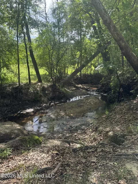 Ms-13, Mendenhall, MS 39114 photo 9