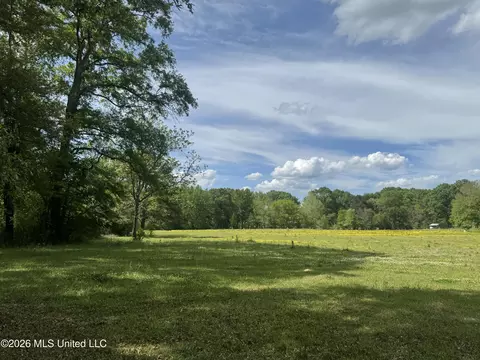 Ms-13, Mendenhall, MS 39114 photo 8