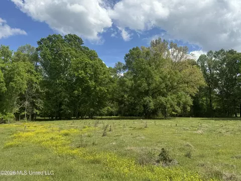 Ms-13, Mendenhall, MS 39114 photo 7