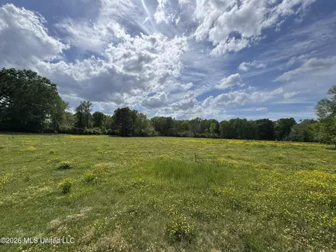 Ms-13, Mendenhall, MS 39114 photo 6