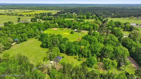 Ms-13, Mendenhall, MS 39114 photo 19