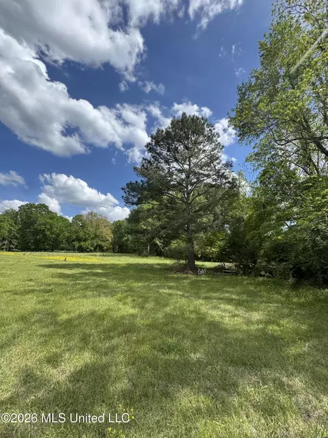 Ms-13, Mendenhall, MS 39114 photo 11