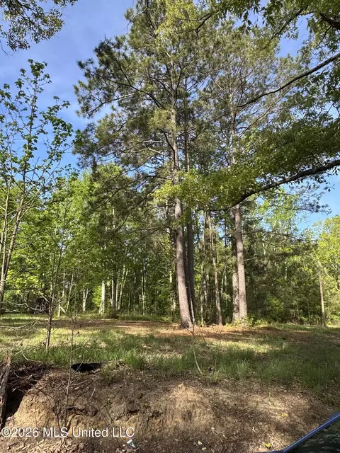 0 Stump Rd, Gloster, MS 39638