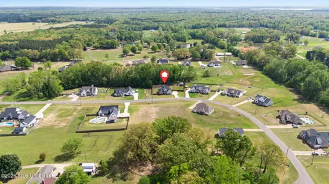 View/Area - 4590 Pierce Dr, Hernando, MS 38632 photo 6 of 6