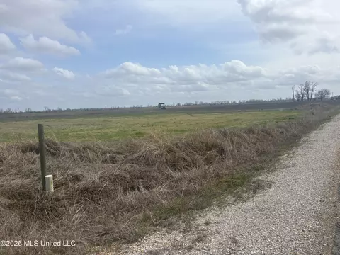 Goose Lake Rd, Mayersville, MS 39113 photo 5