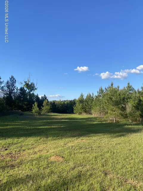 tbd County Road 48, Gloster, MS 39638