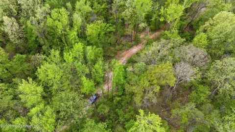 7 Nail Rd, Walls, MS 38680 photo 15