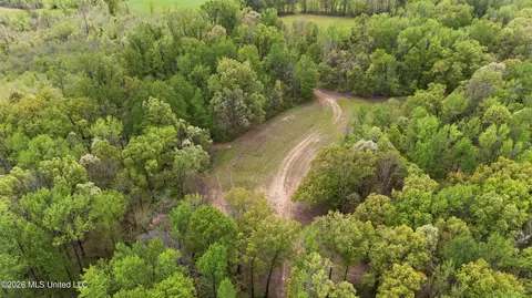 7 Nail Rd, Walls, MS 38680 photo 14