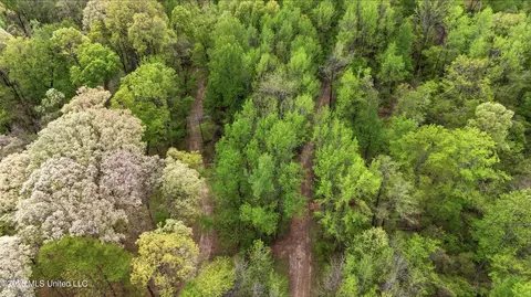 7 Nail Rd, Walls, MS 38680 photo 17