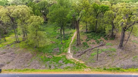 7 Nail Rd, Walls, MS 38680 photo 3