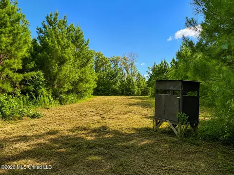 00 SW Auburn Dr, Bogue Chitto, MS 39629