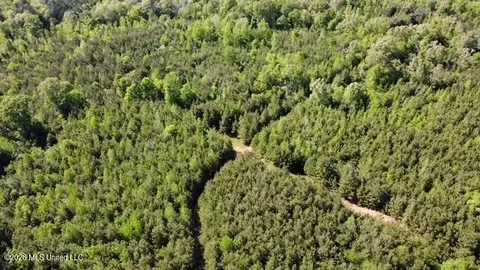 00 SW Auburn Dr, Bogue Chitto, MS 39629