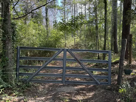 00 SW Auburn Dr, Bogue Chitto, MS 39629