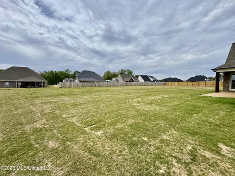 Exterior - 4220 Adriane Cv, Nesbit, MS 38651 photo 9 of 9