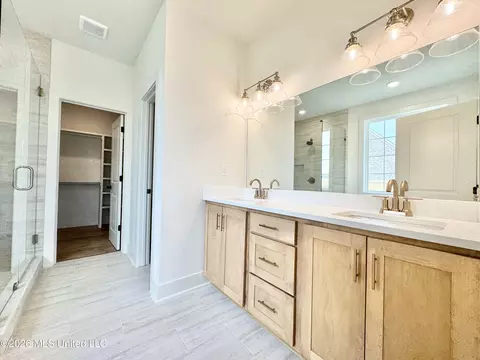 Bath - 4220 Adriane Cv, Nesbit, MS 38651 photo 1 of 6
