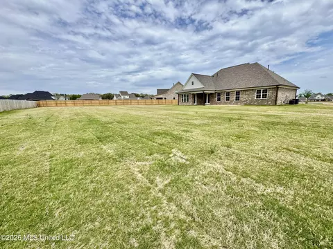 Exterior - 4220 Adriane Cv, Nesbit, MS 38651 photo 6 of 9